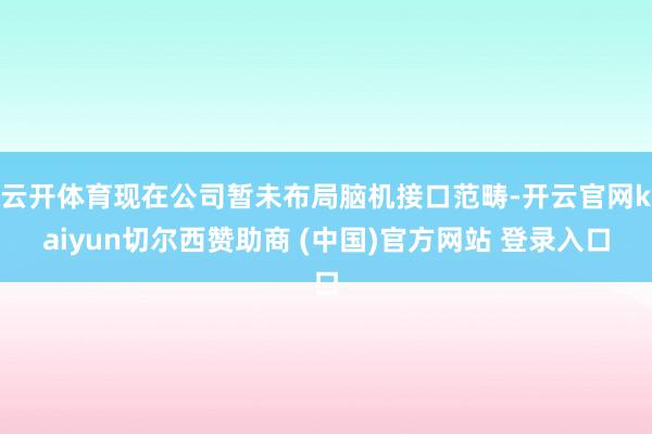 云开体育现在公司暂未布局脑机接口范畴-开云官网kaiyun切尔西赞助商 (中国)官方网站 登录入口