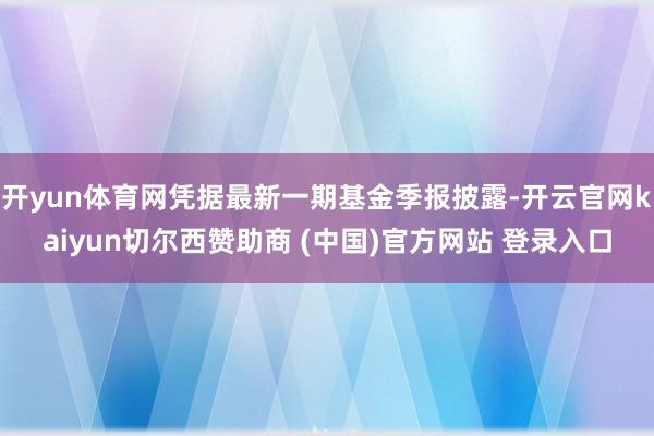 开yun体育网凭据最新一期基金季报披露-开云官网kaiyun切尔西赞助商 (中国)官方网站 登录入口