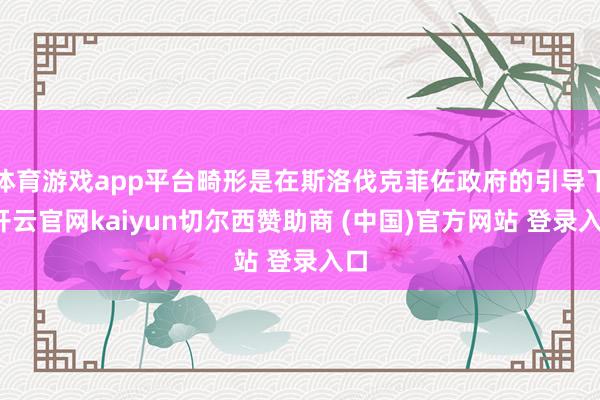 体育游戏app平台畸形是在斯洛伐克菲佐政府的引导下-开云官网kaiyun切尔西赞助商 (中国)官方网站 登录入口