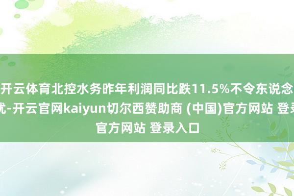 开云体育北控水务昨年利润同比跌11.5%不令东说念主担忧-开云官网kaiyun切尔西赞助商 (中国)官方网站 登录入口