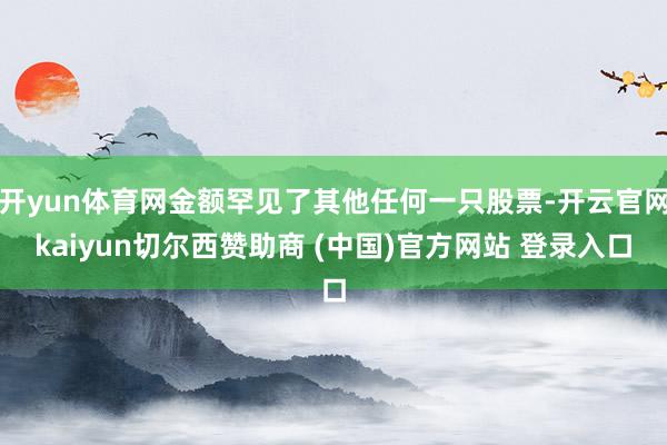 开yun体育网金额罕见了其他任何一只股票-开云官网kaiyun切尔西赞助商 (中国)官方网站 登录入口