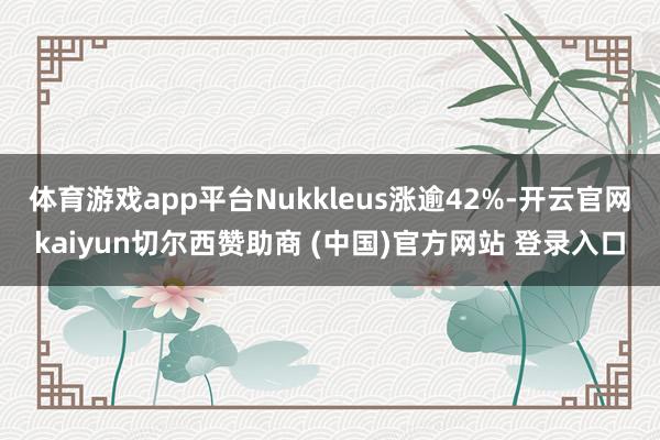 体育游戏app平台Nukkleus涨逾42%-开云官网kaiyun切尔西赞助商 (中国)官方网站 登录入口