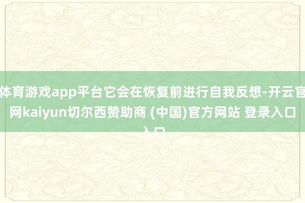 体育游戏app平台它会在恢复前进行自我反想-开云官网kaiyun切尔西赞助商 (中国)官方网站 登录入口