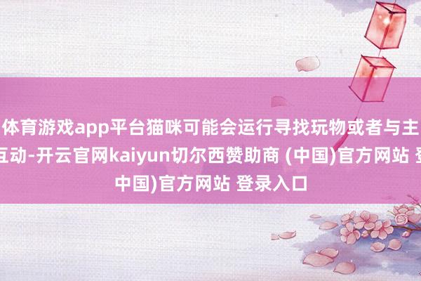 体育游戏app平台猫咪可能会运行寻找玩物或者与主东谈主互动-开云官网kaiyun切尔西赞助商 (中国)官方网站 登录入口