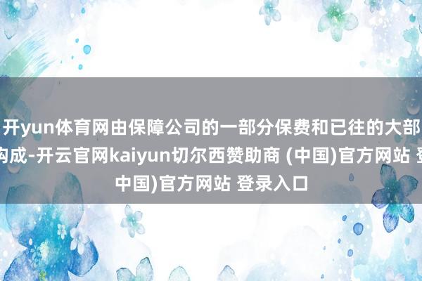 开yun体育网由保障公司的一部分保费和已往的大部分盈余构成-开云官网kaiyun切尔西赞助商 (中国)官方网站 登录入口