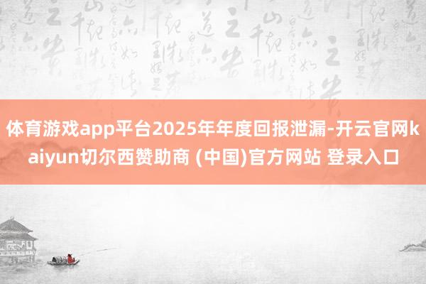 体育游戏app平台2025年年度回报泄漏-开云官网kaiyun切尔西赞助商 (中国)官方网站 登录入口