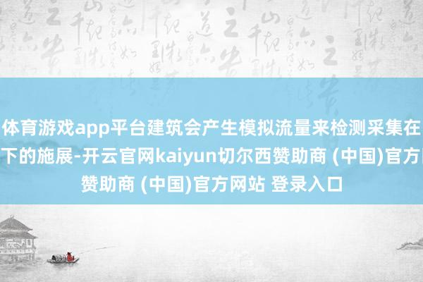 体育游戏app平台建筑会产生模拟流量来检测采集在多样负载条目下的施展-开云官网kaiyun切尔西赞助商 (中国)官方网站 登录入口